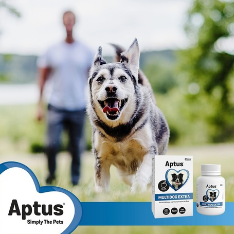 Aptus Multidog Extra tabletta