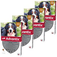 Advantix Spot On kutyáknak #15