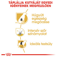 Royal Canin Miniature Schnauzer Adult - Törpe schnauzer felnőtt kutya száraz táp #4