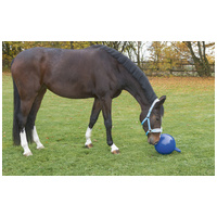 Kerbl játéklabda lovaknak #3