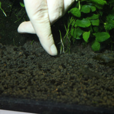 JBL Kugeln növénytáp golyók