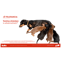 Bolfo bolha és kullancs elleni nyakörv #4