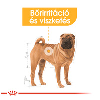 Royal Canin Medium Dermacomfort - Száraz táp bőrirritációra hajlamos, közepes testű felnőtt kutyák részére #2
