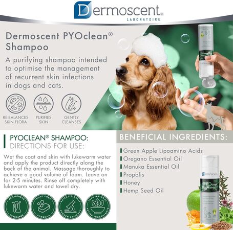 Dermoscent PYOclean Shampoo kutyáknak és macskáknak