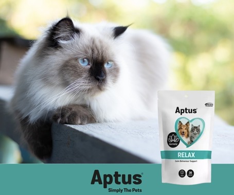 Aptus Relax gyorsan ható nyugtató rágótabletta