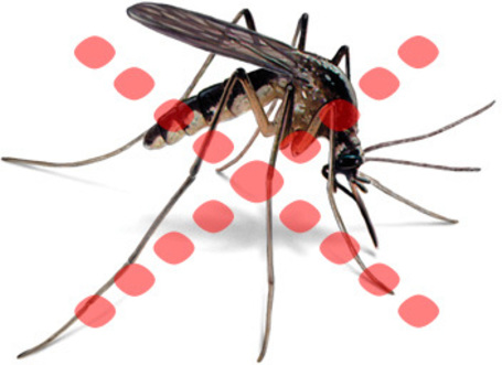 Rovarirtók, rovarriasztók