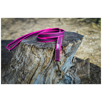 Julius-K9 Color & Gray póráz fogóval #9