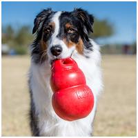 Kong Bounzer kutyajáték #7