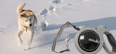 Automata póráz ajándékba a spanyol Bravery kutyatápokhoz