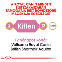 Royal Canin British Shorthair Kitten - Brit rövidszőrű kölyök macska száraz táp #4