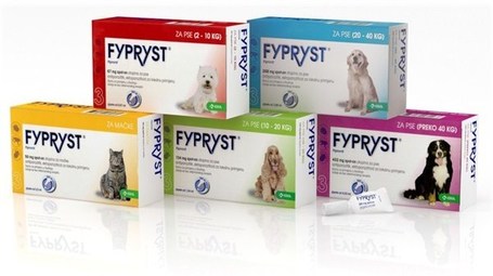 Fypryst rácsepegtető oldat kutyáknak | Élősködők elleni védelem