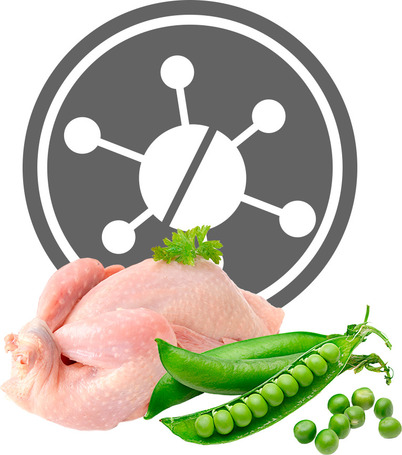 Exclusion Dog Hypoallergenic Quail & Pea konzerv