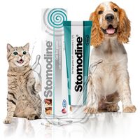 Stomodine antibakteriális szájfertőtlenítő, fogápoló gél #2