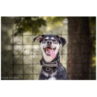 Stacy, 6 éves leányka #11