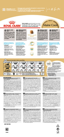 Royal Canin Maine Coon Adult - Maine Coon felnőtt macska száraz táp