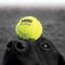 Kong Squeakair mingi de tenis pentru câini
