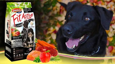 FitActive BlackDogs Lamb & Fish with Apple & Rice | Kutyatáp fekete szőrű fajtáknak