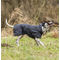 Trixie Calvi kutyakabát jól lélegző membrános, illetve plüss béléssel