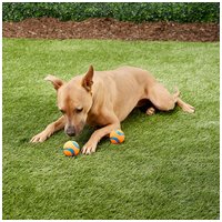 Chuckit! Ultra Ball - Az Elnyűhetetlen gumilabda kutyáknak #3