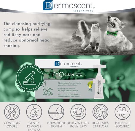 Dermoscent PYOclean Oto kutyáknak, macskáknak és nyulaknak