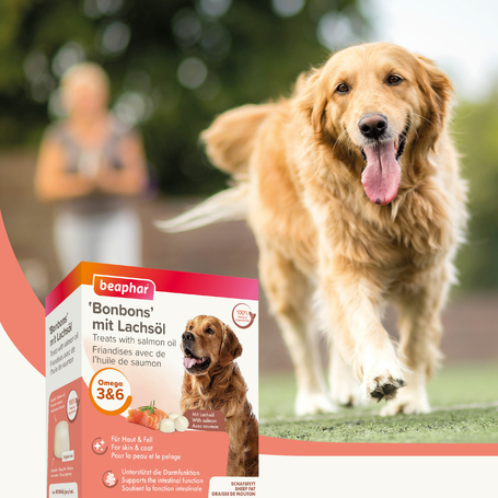 Beaphar birkafaggyú alapú bonbon kutyáknak