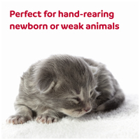 Beaphar Lactol cumisüveg készlet kisállatoknak #3