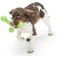 West Paw Skamp - Apport kutyajáték #4