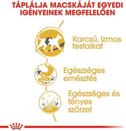 Royal Canin Siamese Adult - Sziámi felnőtt macska száraz táp