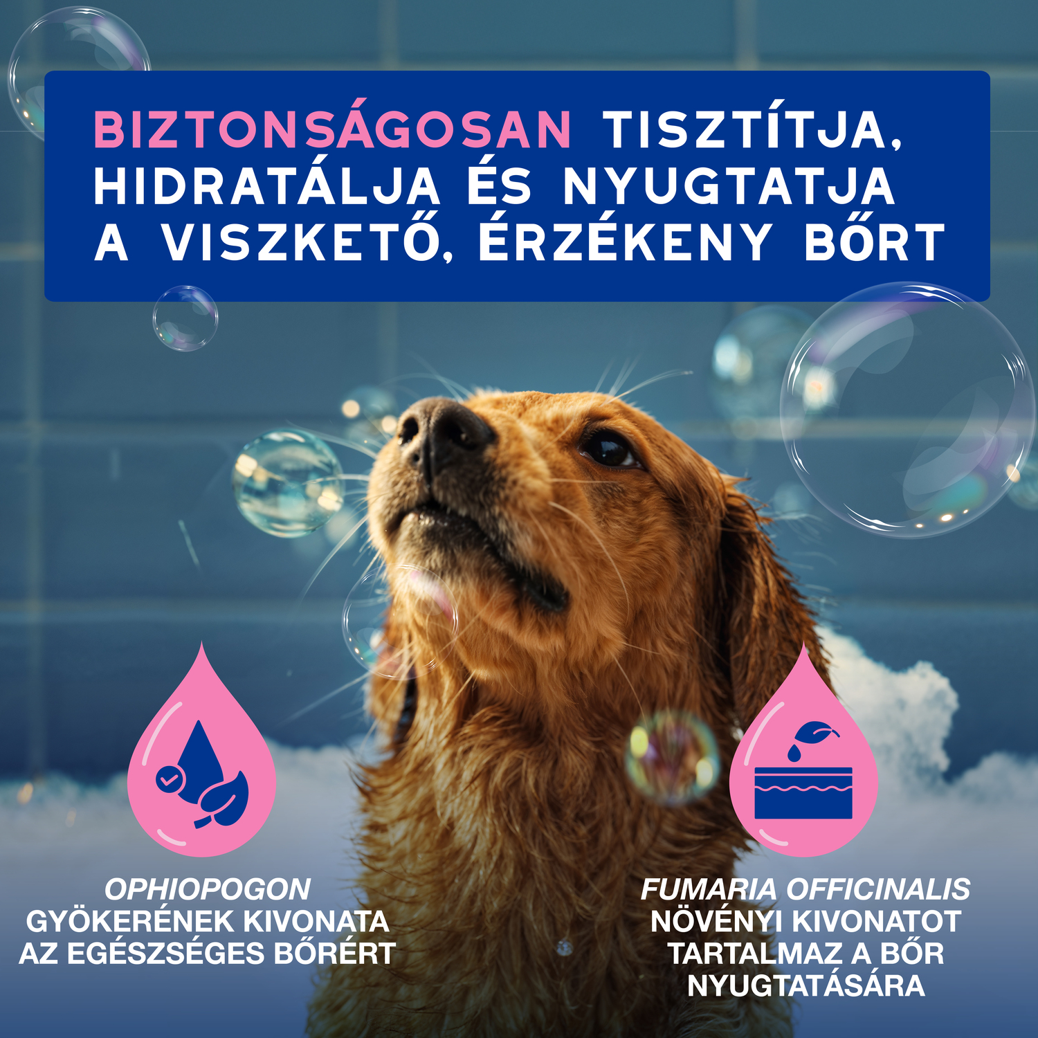 Douxo Spa șampon calmant împotriva mâncărimii pentru câini - zoom