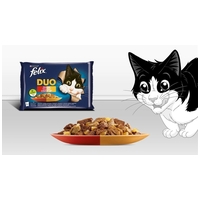 Felix Fantastic Duo - Házias válogatás aszpikban - Multipack #2