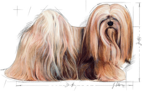 Royal Canin Mini Exigent - Válogatós felnőtt kistestű kutya száraz táp