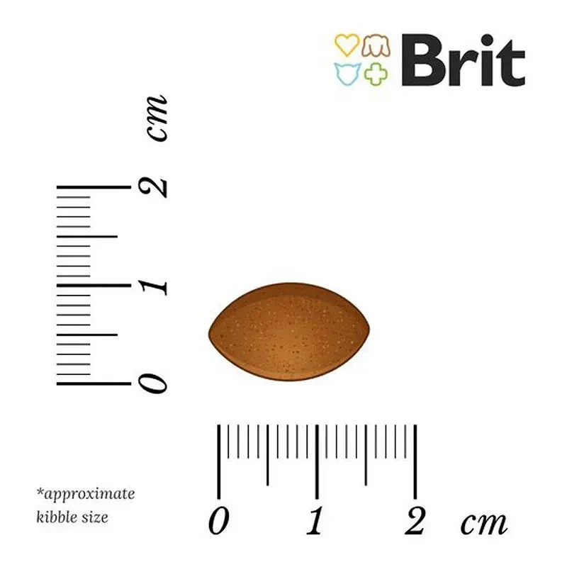 Brit Fresh Duck with Millet Adult Run & Work | Friss kacsahús kölessel