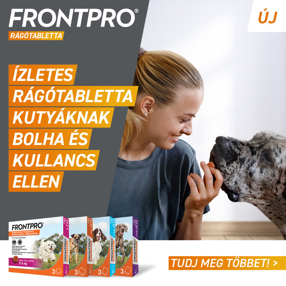 Frontpro