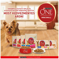Purina One Mini/Small Adult marhában gazdag száraz kutyaeledel kistestű kedvenceknek #3