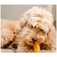 Barf Love Churpi himalájai sajt rágócsont #5