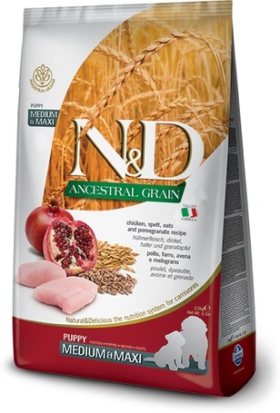 N&D Dog Puppy Medium & Maxi Chicken & Pomegranate Ancestral Grain | Eledel közepes és nagytestű kölyökkutyák számára