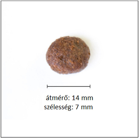 Alleva Equilibrium Ocean Fish Medium/Maxi