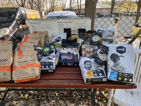 Kedves Támogatók! Köszönjük segítségeteket az Eb Árvaház kutyusai nevében is!