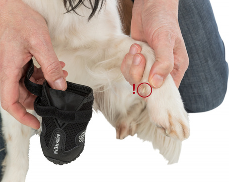 Trixie Walker Active Protective Boots - Kutyacipő