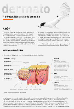 Dermato bőrtápláló olaj kutyáknak és macskáknak