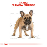 Royal Canin French Bulldog Adult - Francia Bulldog felnőtt kutya száraz táp #2