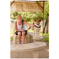 Trixi, egy éves, szuka #3