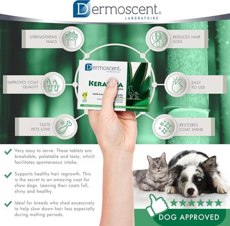 Dermoscent Keravita kutyáknak és macskáknak