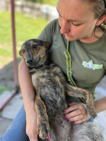 Günter, fél éves, kan