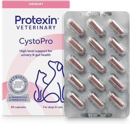 Protexin Cystopro húgyúti problémák kezelésére és megelőzésére kutyáknak és macskáknak