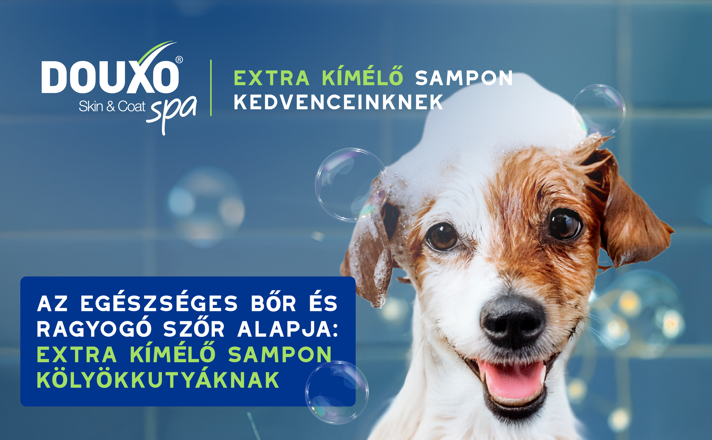 Douxo Spa kölyökkutya sampon