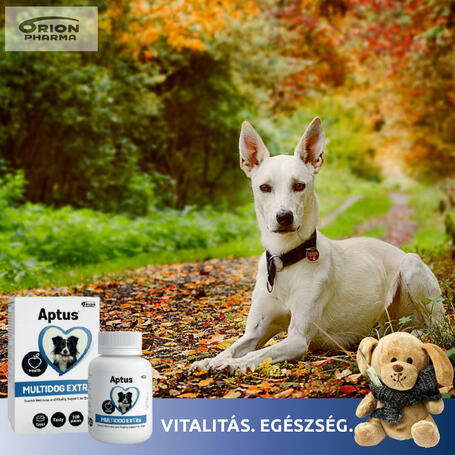 Aptus Multidog Extra tabletta
