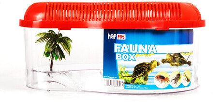 Fauna-box kis kilépő szigettel, azon pálmafával