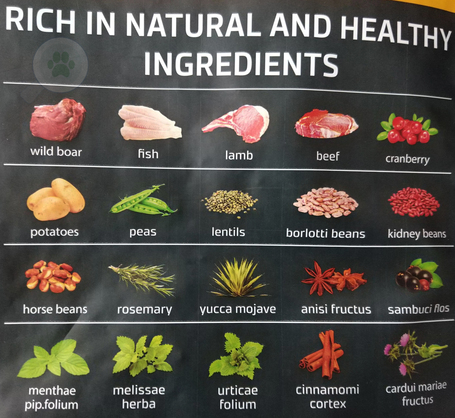 Julius-K9 GF Hypoallergenic Adult Wild Boar & Berry