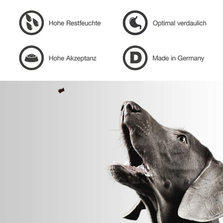 Primum Adult Soft Lamm mit Kartoffel